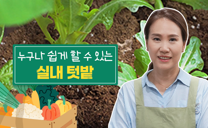누구나 쉽게 할 수 있는 실내 텃밭