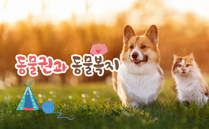 사람과 동물이 함께 행복한 경기도 동물권과 동물복지