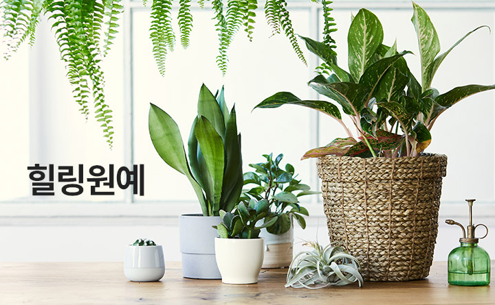 일상의 쉼터 힐링원예