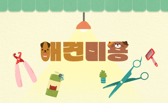 소중한 반려견을 위한 집사의 애견미용