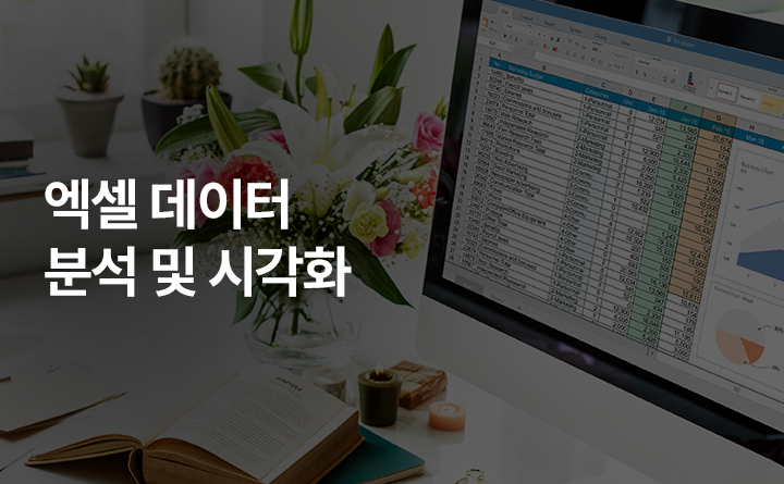 엑셀 데이터 분석 및 시각화